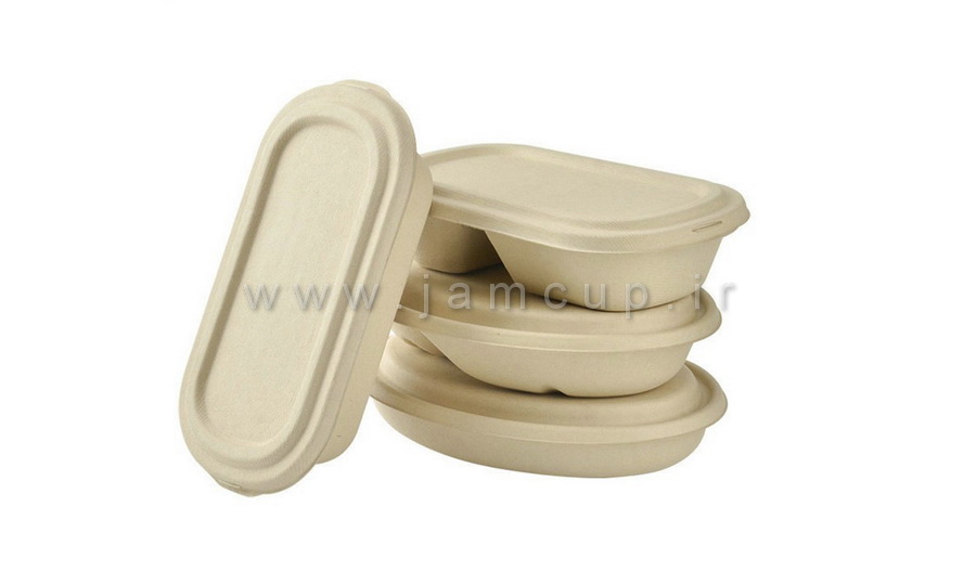 فروش ظرف های کاغذی