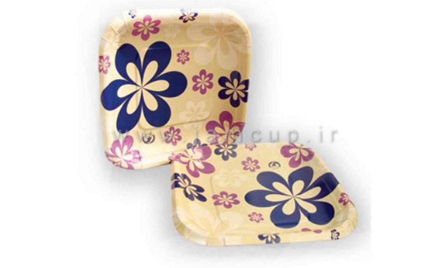 پیش دستی کاغذی پیش دستی کاغذیر