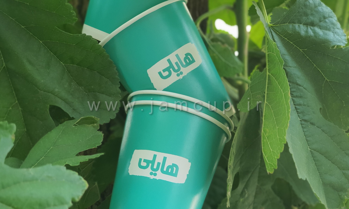 لیوان کاغذی مواد غذایی هایلی (2)
